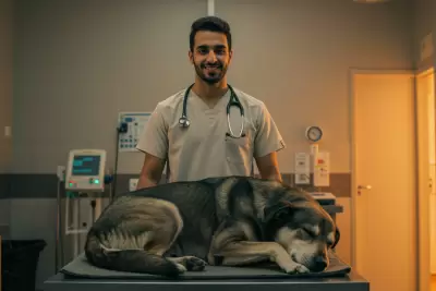 دورة صيدلة الحيوانات الاليفه